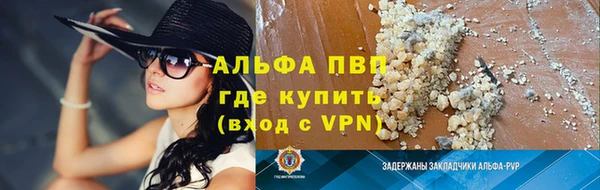 шишки Грязовец