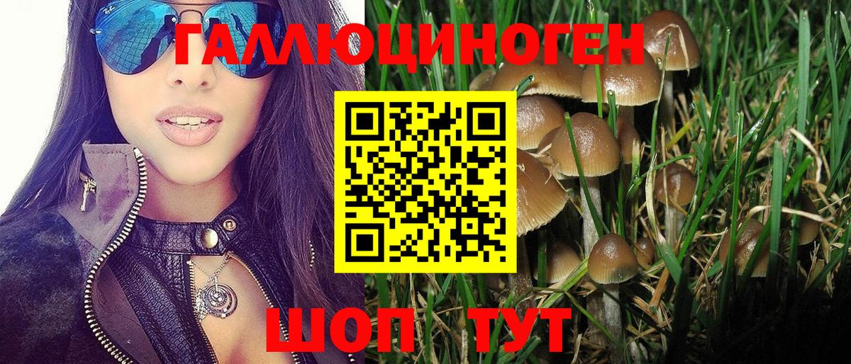 Галлюциногенные грибы GOLDEN TEACHER  Советский  Галлюциногенные грибы Magic Shrooms 