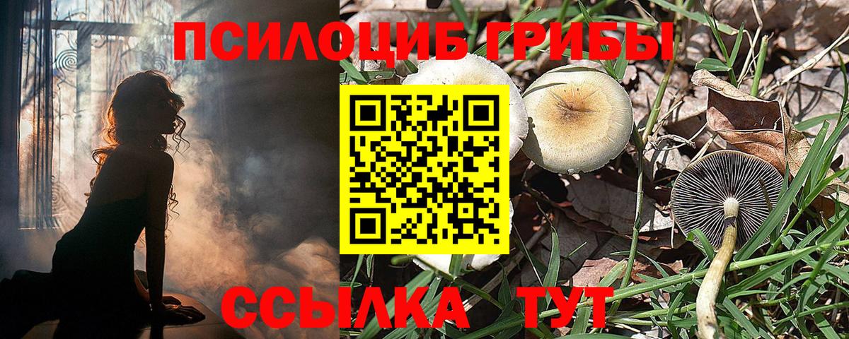 Галлюциногенные грибы Psilocybe Советский
