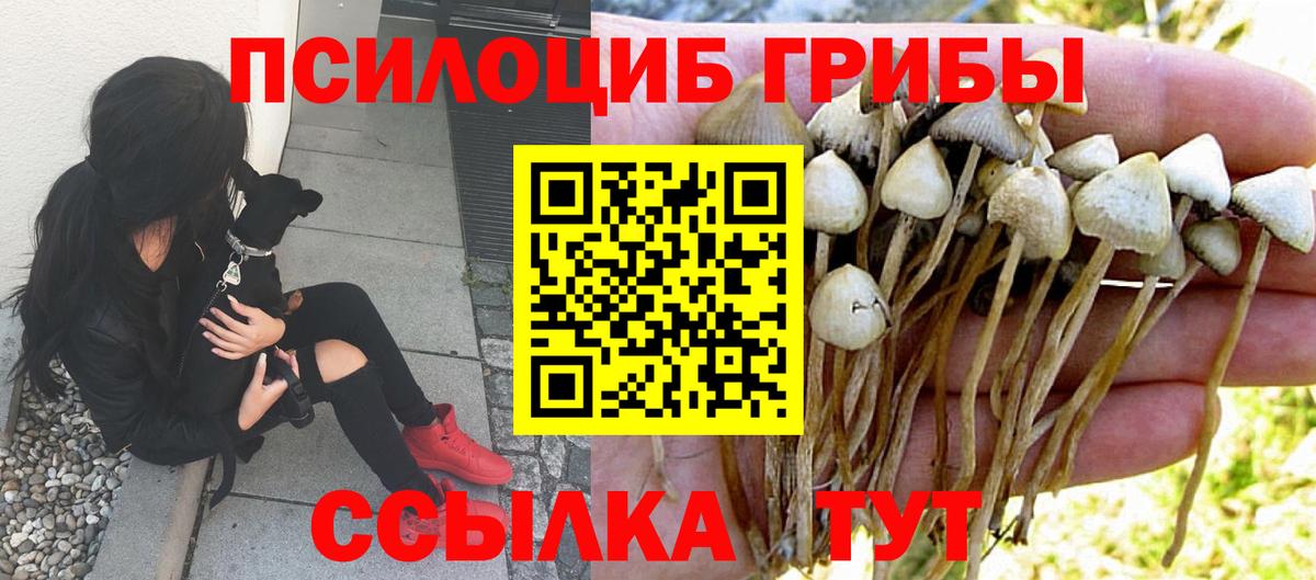 Советский  Псилоцибиновые грибы прущие грибы  Вход с VPN 